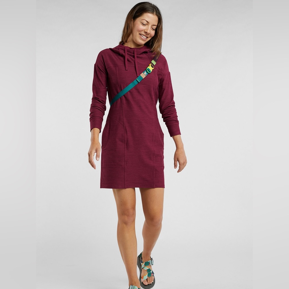 Toad&Co Intermosso Hoodie Dress